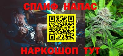 гашик Гусь-Хрустальный