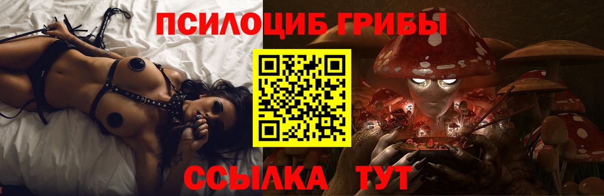 Псилоцибиновые грибы мицелий Набережные Челны